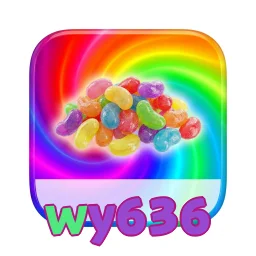 wy636